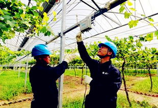 黑龍江農業用電范圍是什么 有哪些優惠政策