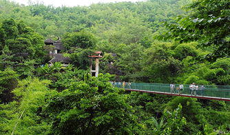 西雙版納原始森林公園門票 電子票無(wú)包車限制