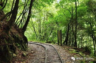 這些臺(tái)灣高山秘境等待你去征服