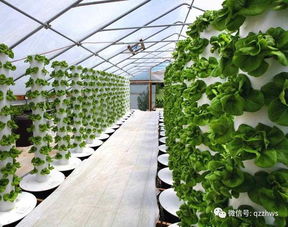 陽(yáng)光板助力農(nóng)業(yè)生態(tài)餐廳建設(shè)