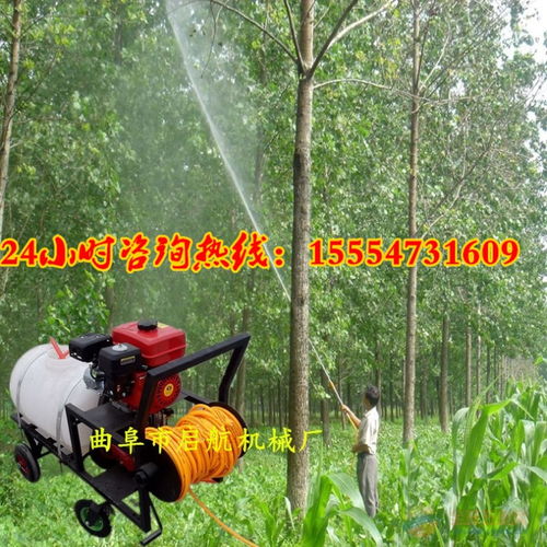 小型手推式打藥機(jī) 園林消毒機(jī) 農(nóng)田果樹(shù)專(zhuān)用打藥機(jī)價(jià)格
