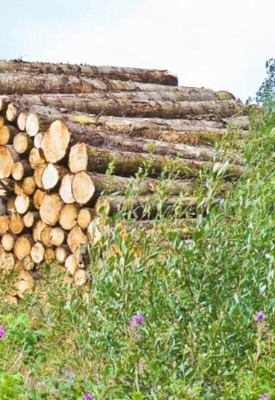 武平法院村居法官普法專(zhuān)欄第13期 生態(tài)環(huán)境篇