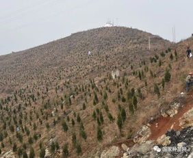 貴州省舉辦2019年林木種苗質(zhì)量檢查培訓班