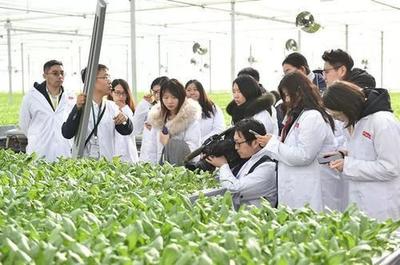 劉強東終于出手!京東新技術的誕生,或?qū)㈩嵏矀鹘y(tǒng)蔬菜種植