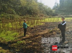 地里除草引發森林火災 女子不慎燒毀林木7000多株