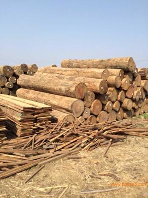 防腐木涼亭規格|河北聲譽好的樟松防腐木廠商推薦