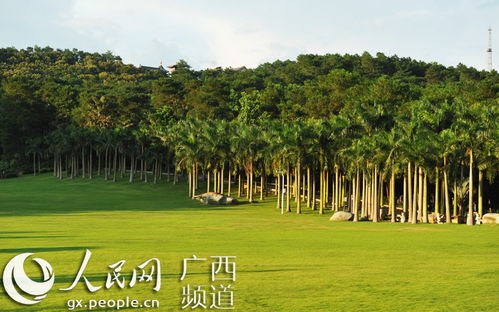 林木蔥郁青山秀，百花齊放青秀山