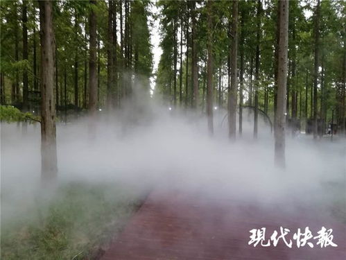 江蘇林木種苗與林下經(jīng)濟(jì)產(chǎn)業(yè)協(xié)同發(fā)展，總產(chǎn)值突破746億元